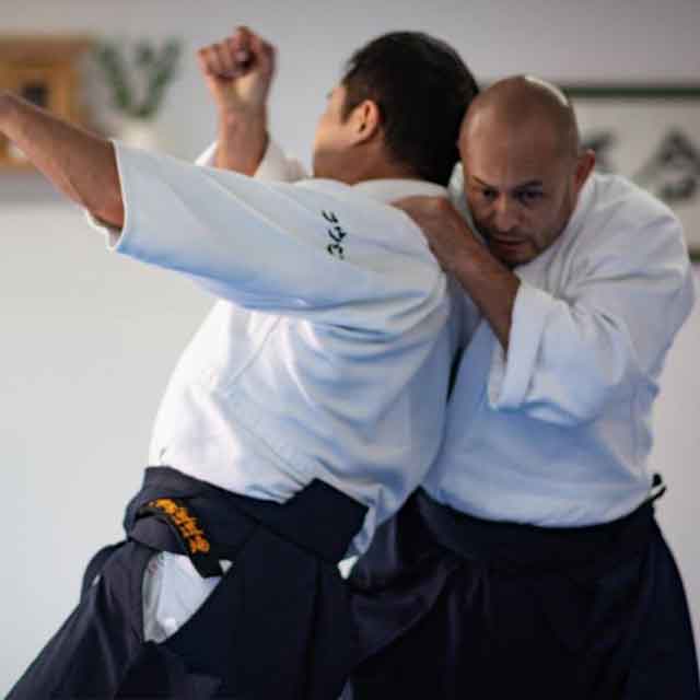 intensivo-inverno-aikido-londrina-irimi-nage